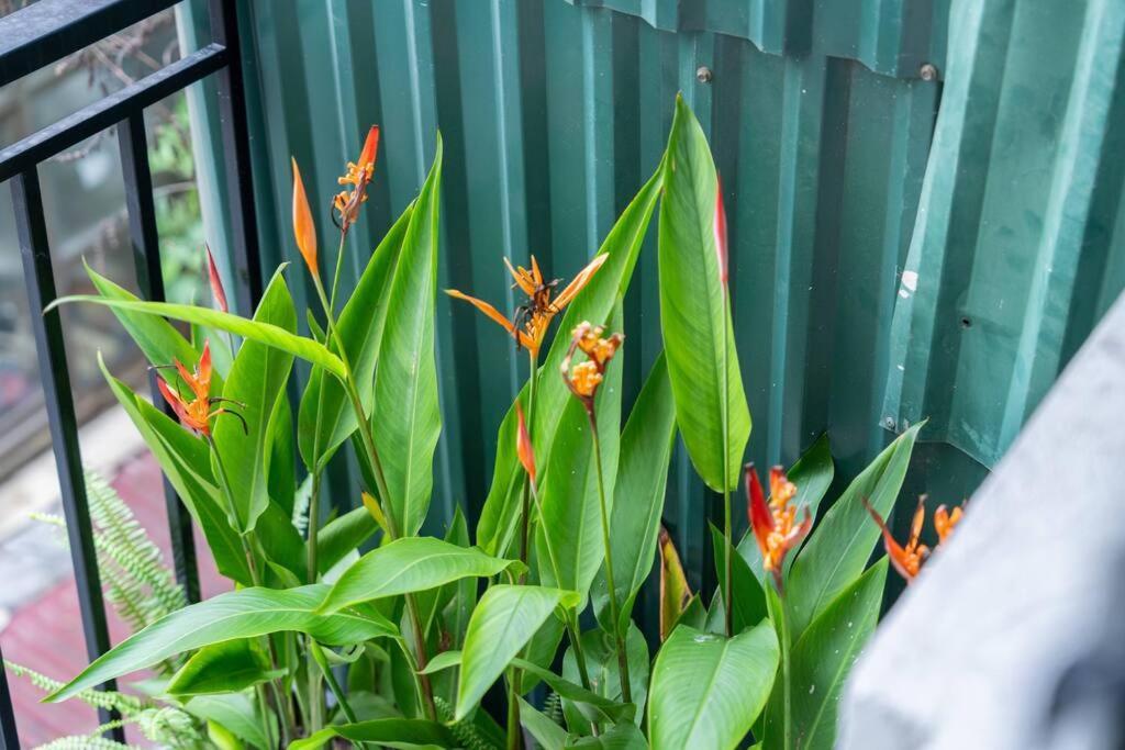 Entireplace*2Br/Bathtub/Supercenter*New* Hanoi Exteriör bild